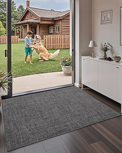 COLOR&GEOMETRY LARGE THIN FRONT DOOR MAT INDOOR ENTRANCE NON SLIP RUBBER BACKED, 32″X48″ INDOOR DOOR MATS FOR ENTRYWAY, DIRT TRAPPER DOUBLE DOORMAT, WASHABLE FRONT DOOR RUGS, CHARCOAL GREY