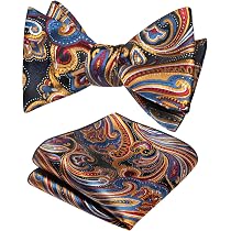 Nœud Papillon Auto-nouable Pour Homme - Motif Jacquard Cachemire Argenté - Ensemble Avec Pochette Assortie - Taille Unique Classique