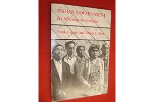 Indian Government: Its Meaning in Practice
