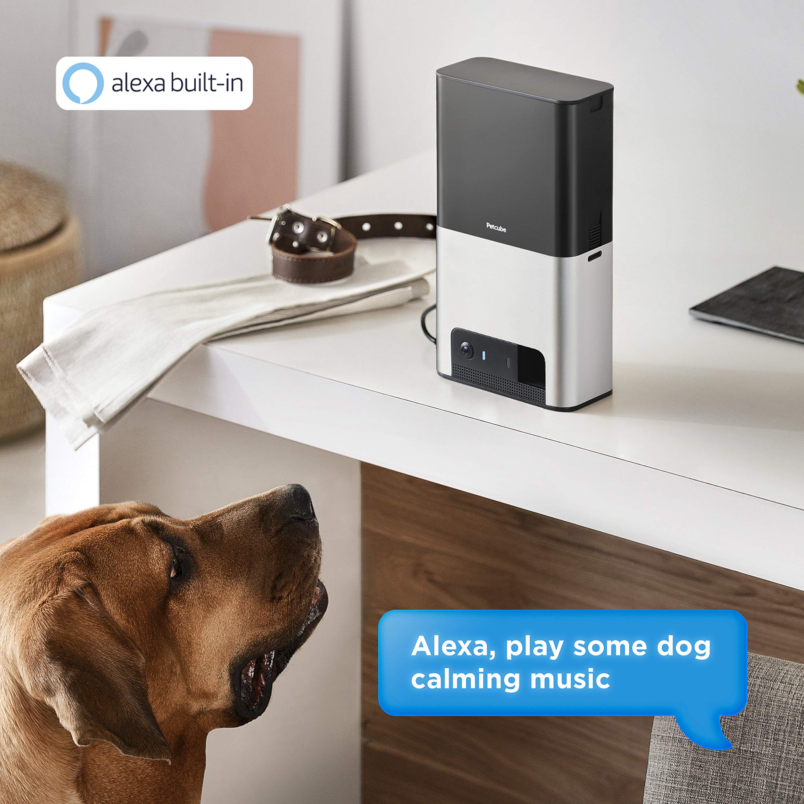 Petcube Bites 2 Wi-Fi Pet Camera with Treat Dispenser & Alexa Built-in, for Dogs and Cats. 1080p HD Video, 160 Full-Room View, 2-Way Audio, Sound/Motion Alerts, Night Vision, Pet Monitor - View 4