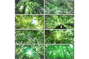 Yahenda 8 Packs Magnetic Fluorescent Light Covers 4 x 2 Feet Ceiling Panel Light Shade Decorative Covering Filters for Classroom Office School Home Hospital Decor (Forest)