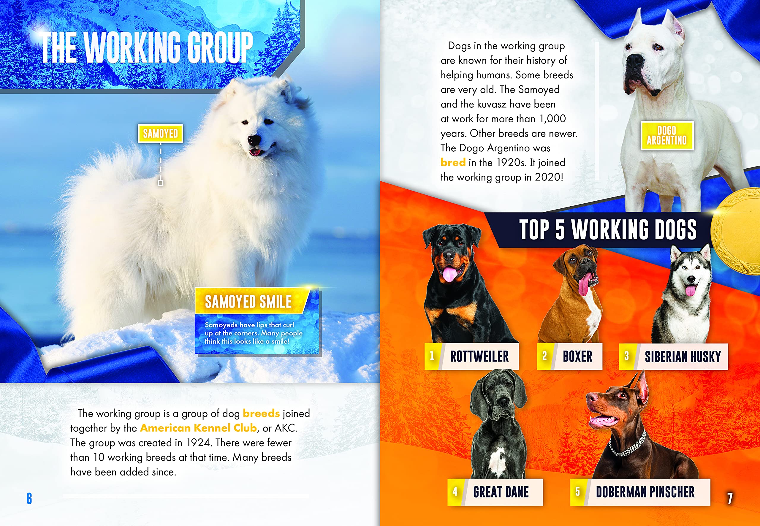 Working Dogs Dog Groups Emily Rose Oachs 9781644874479 Amazon Com Books