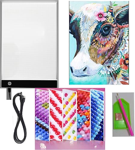 Amazon.com: 5D Diamond Painting Full Drill with A4 LED Light Pad Light