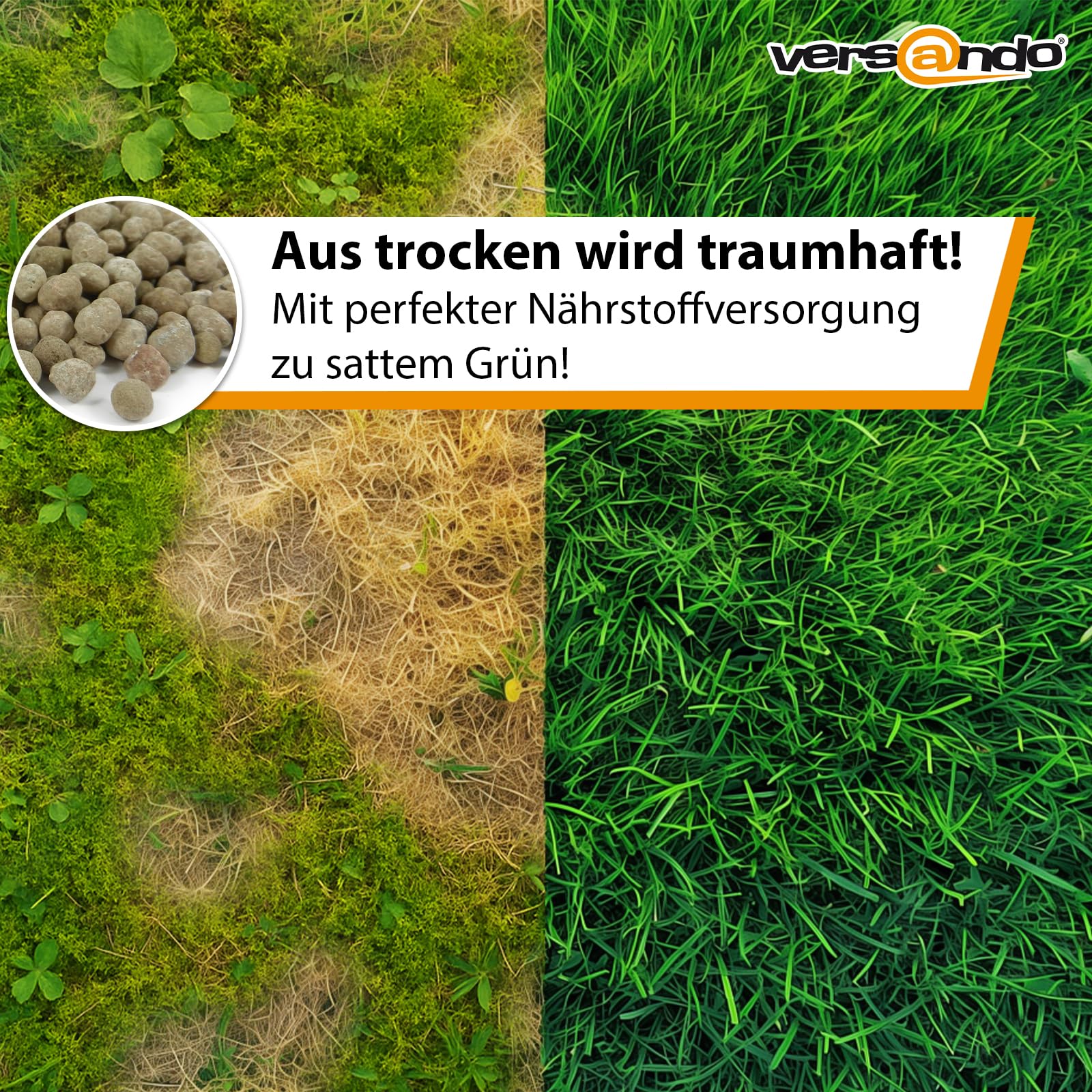 versando 10kg bis 500m² Rasendünger Sommer: verdrängt Moos und Unkraut für 2