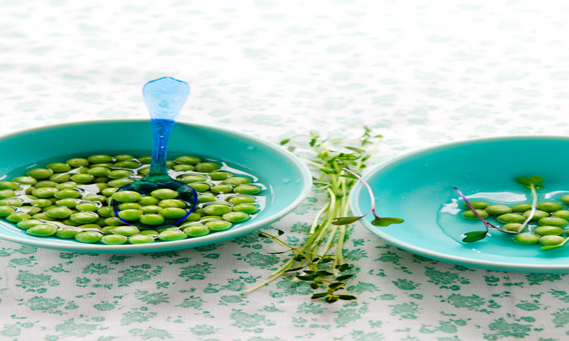 Theblueberrybison - //medicalbooks.filipinodoctors.org