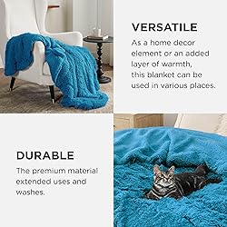 Bedsure Soft Bright Blue Twin Blanket for