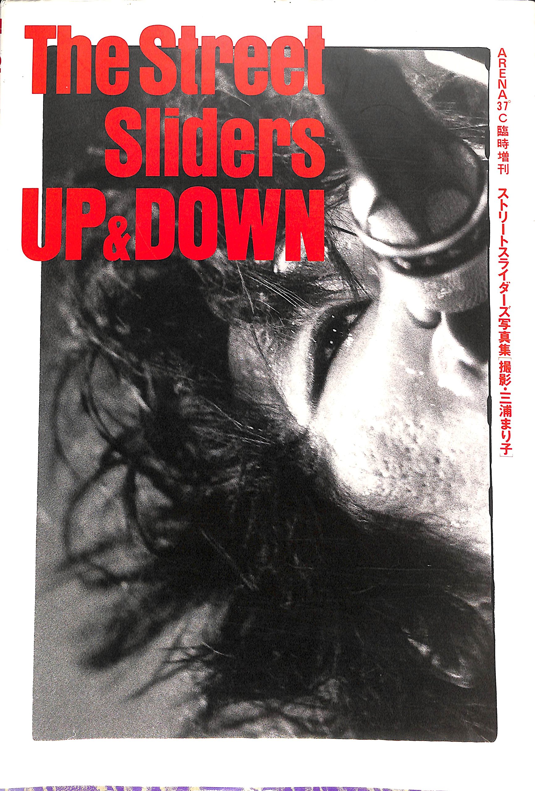 THE STREET SLIDERS FILE☆写真集ザ・ストリートスライダーズ