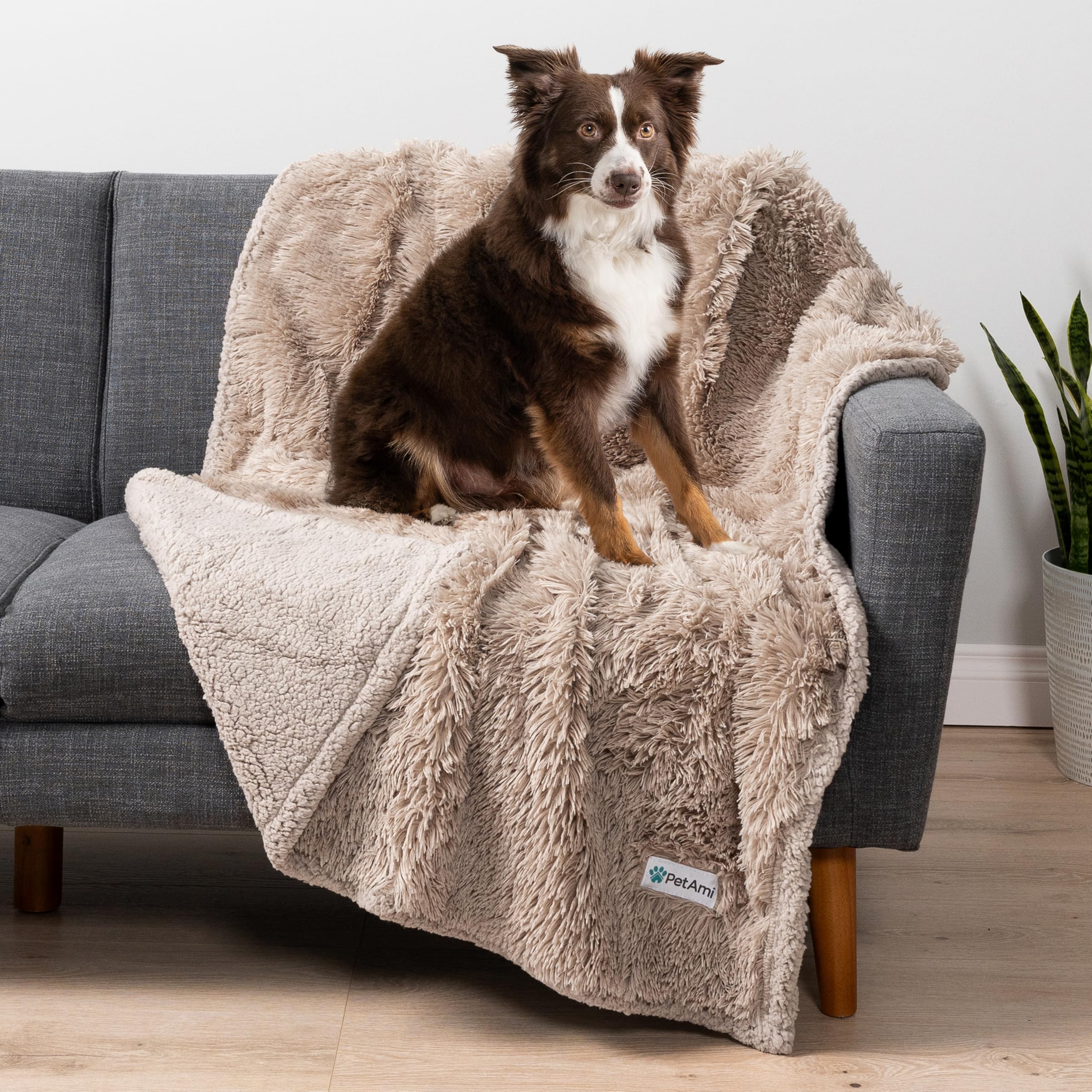 Photo 1 of PetAmi Waterproof Dog Blanket for Medium Large Dogs, Calming Fleece Cat Blanket, Couch Protector Washable Sherpa Faux Fur Pet Throw for Puppy, Soft Reversible Leakproof 40x60 Taupe