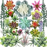 COTSEN 24 Pcs Artificial Succulent Plants Fake Succulent Plants Unpotted Faux Succulents Suitable for Office Family Restaurant Frame Kitchen Indoor Outdoor Decor