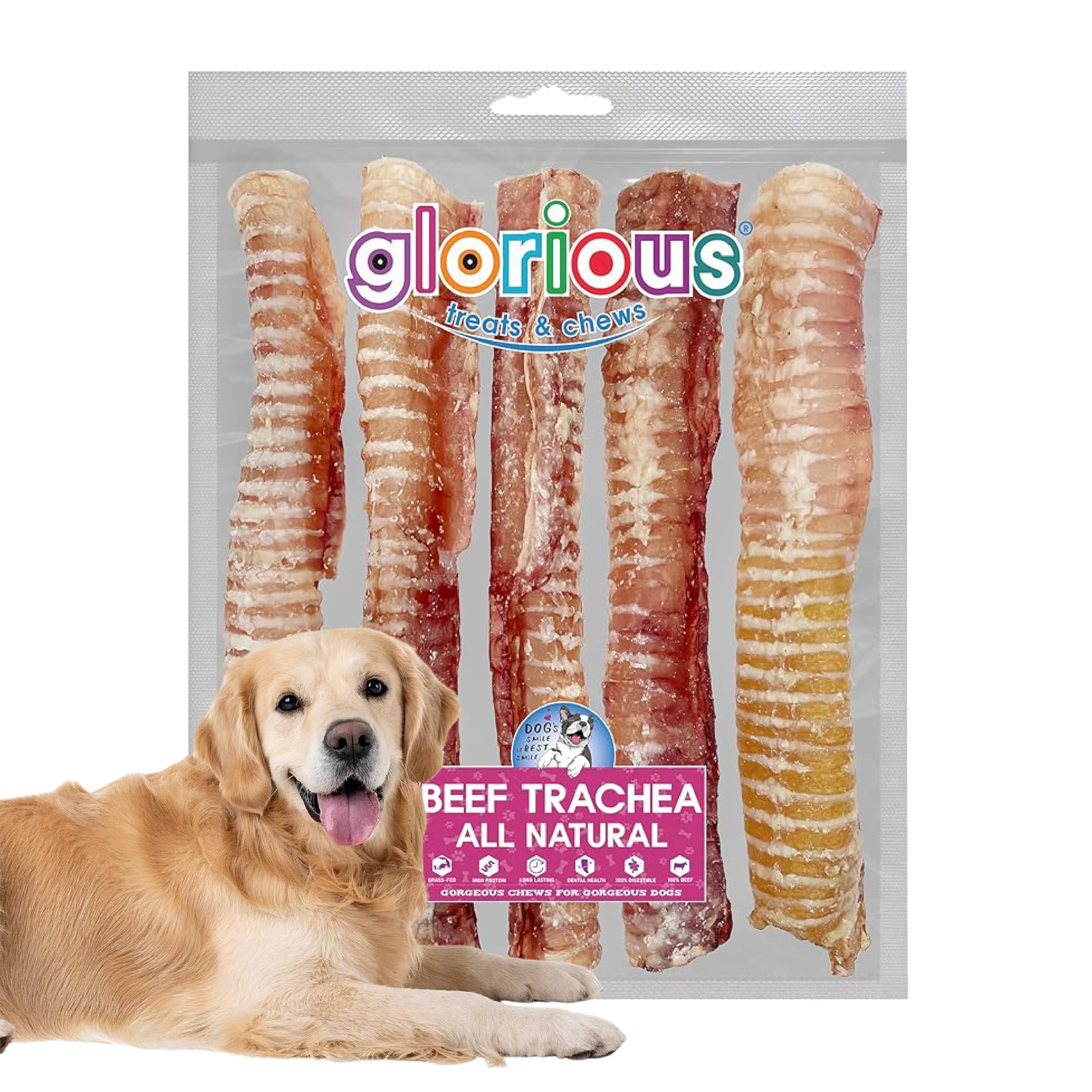 Glorious Treats and Chews – 100% Natural Beef Trachea Dog Chews | Long Lasting, Air-Dried, Single Ingredient Treats for All Breeds (5 Count, 30 cm) — image 1