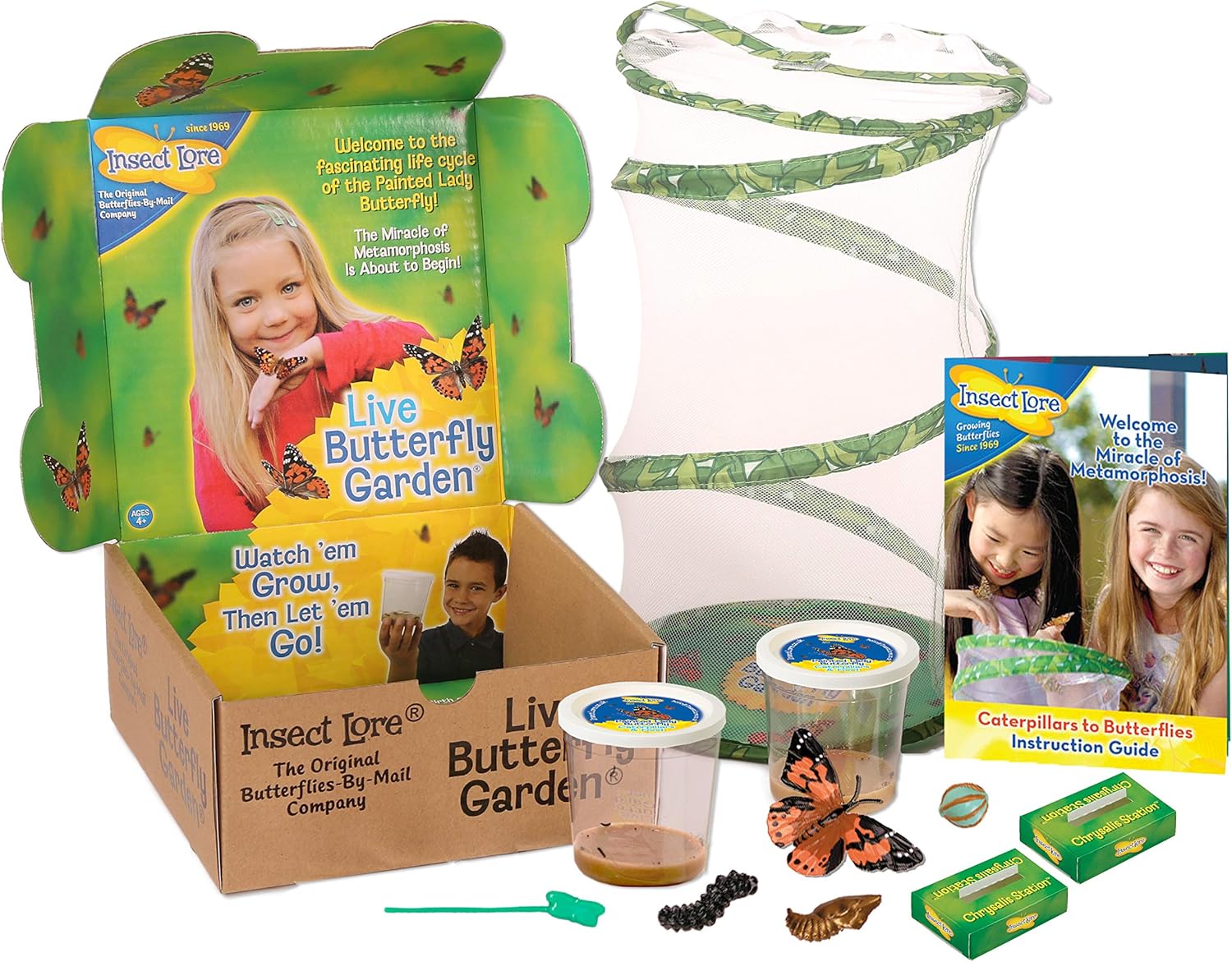 Amazon Giant Butterfly Garden With 6 10 Live Caterpillars And Lifecycle Stages Amazon Co Uk Toys Games
