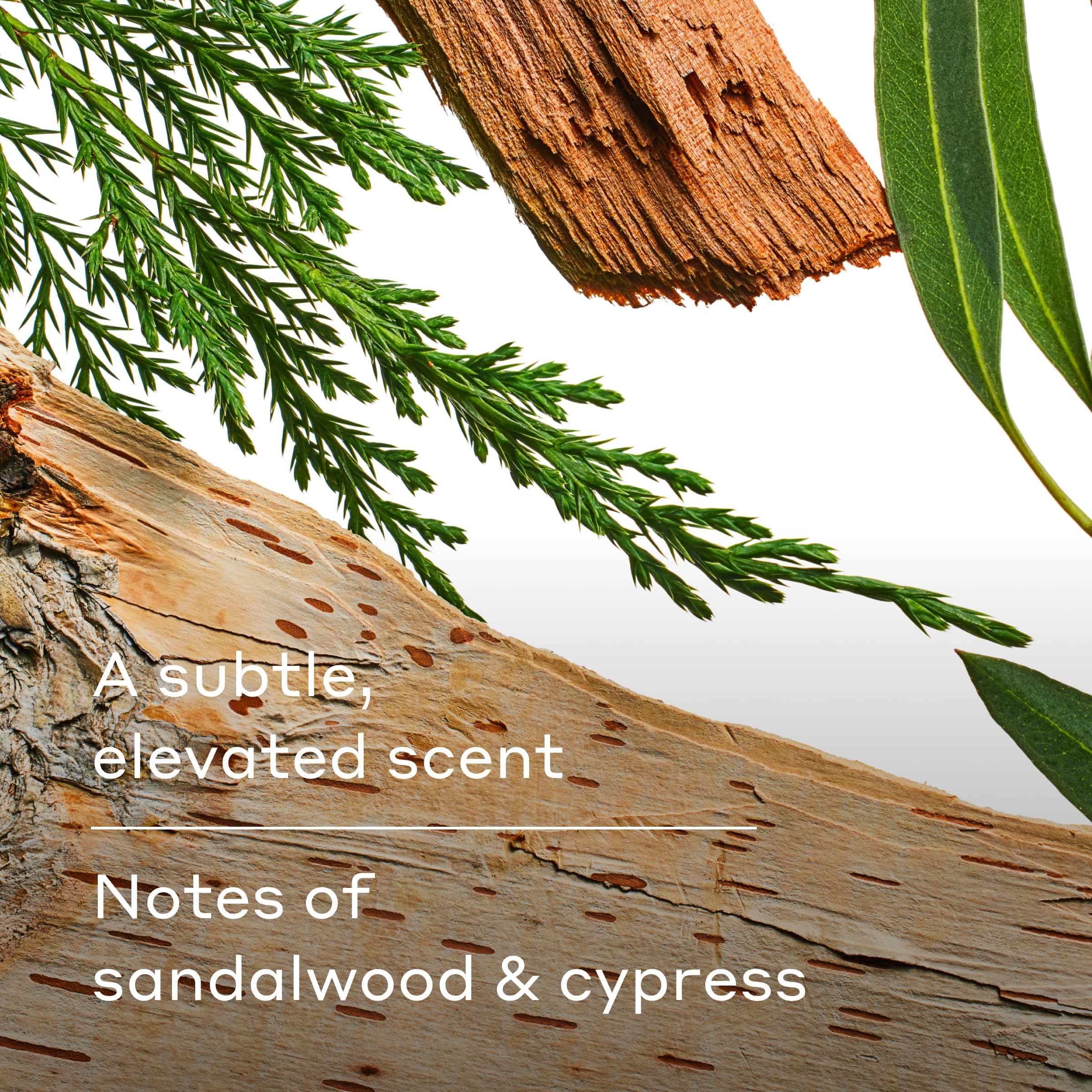 Harry's Extra-Strength Antiperspirant Deodorant, Sweat & Odor Control Antiperspirant for Men, Variety Pack - Stone, Redwood, Wildlands, 2.5 oz Pack of 3