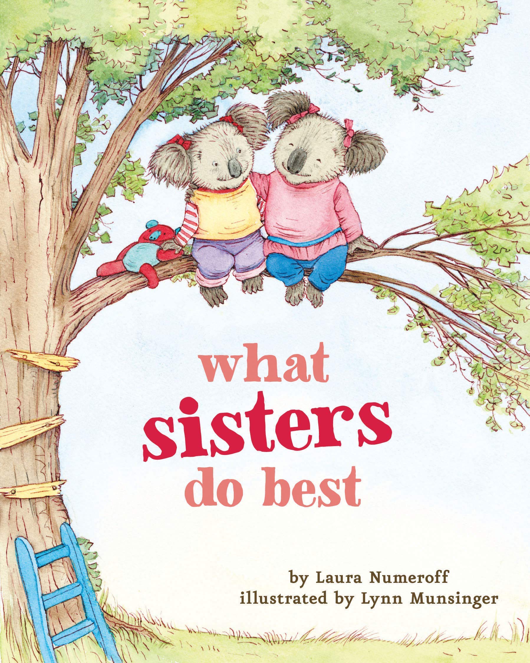 the big sibling book