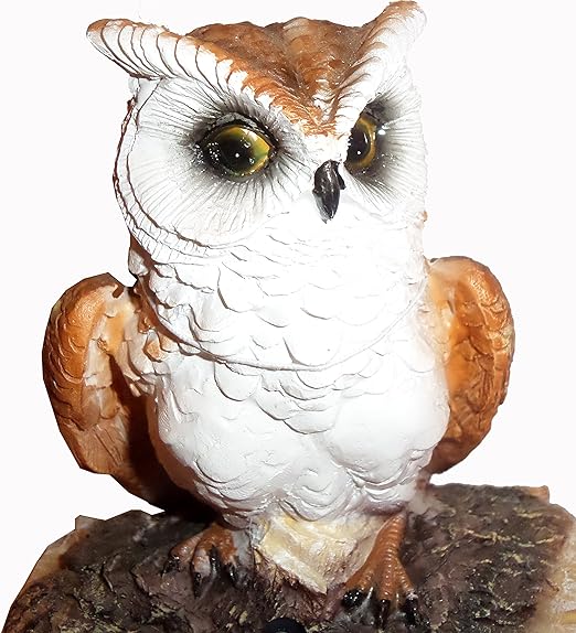 Garden Ornament, Hooting Owl (With Motion Sensor) Amazon.co.uk