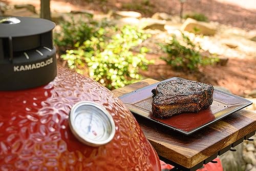 Kamado Joe BJ-IKAMANDNA iKamand Smart Temperature Control and
