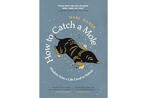 kindle best category lists