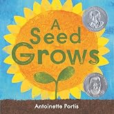 A Seed Grows
