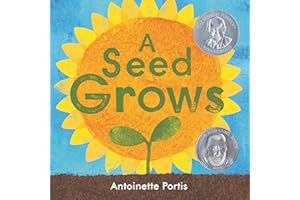 A Seed Grows