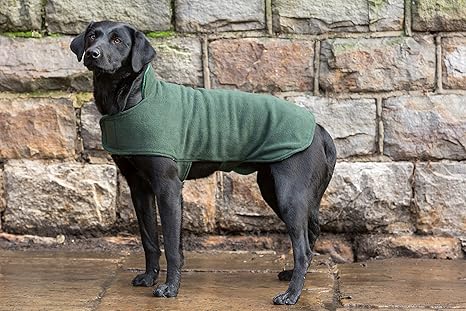 Olive green dog coat Clearance