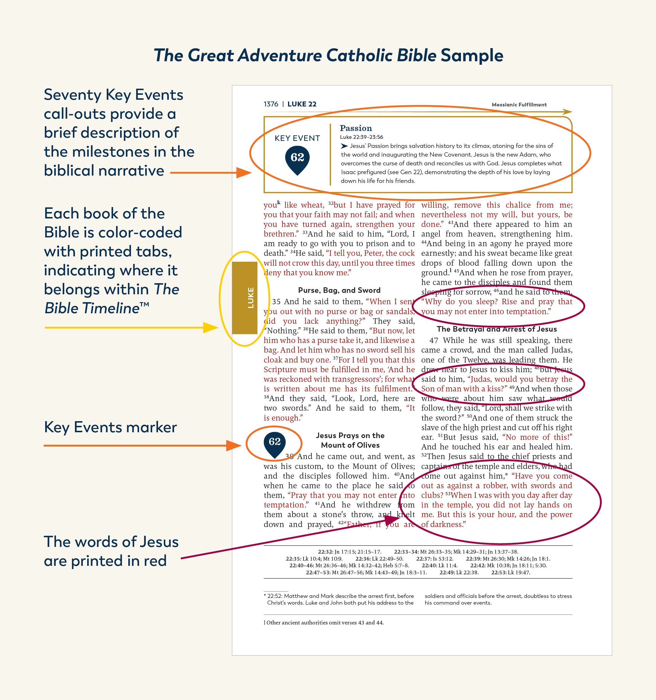 The Great Adventure Catholic Bible (Paperback)