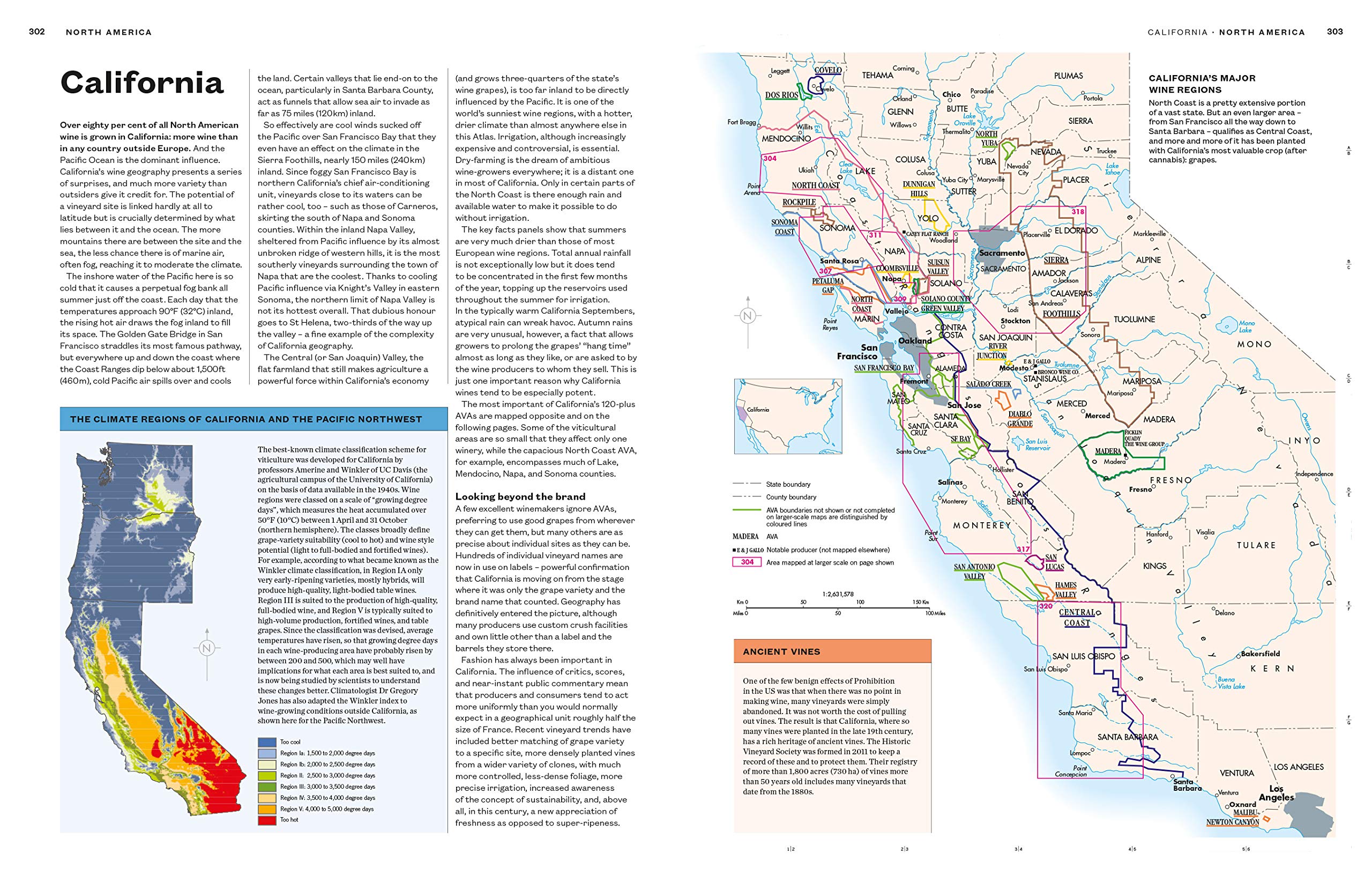 The World Atlas of Wine 8th Edition The World Atlas of Wine 8th Edition Hardcover