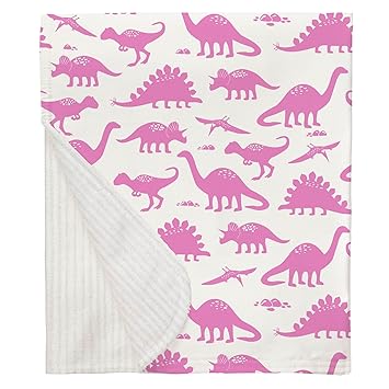 pink dinosaur blanket
