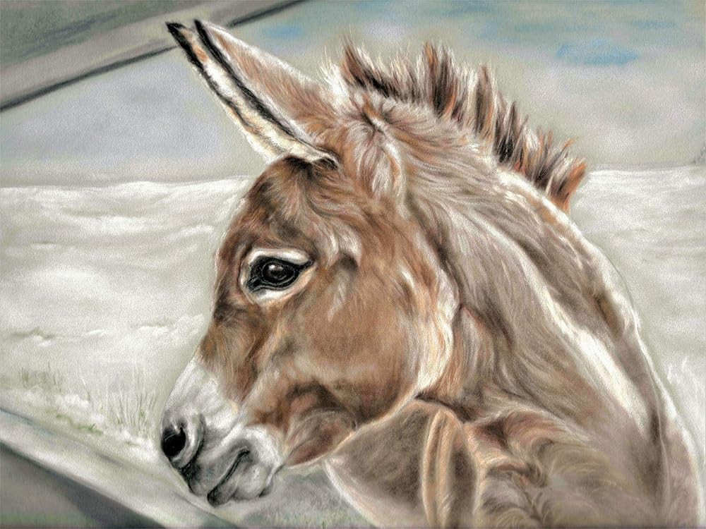 Donkey wall art Farm animal Donkey print by artist Tracey Earl. Size A5 UNFRAMED Amazon.co.uk