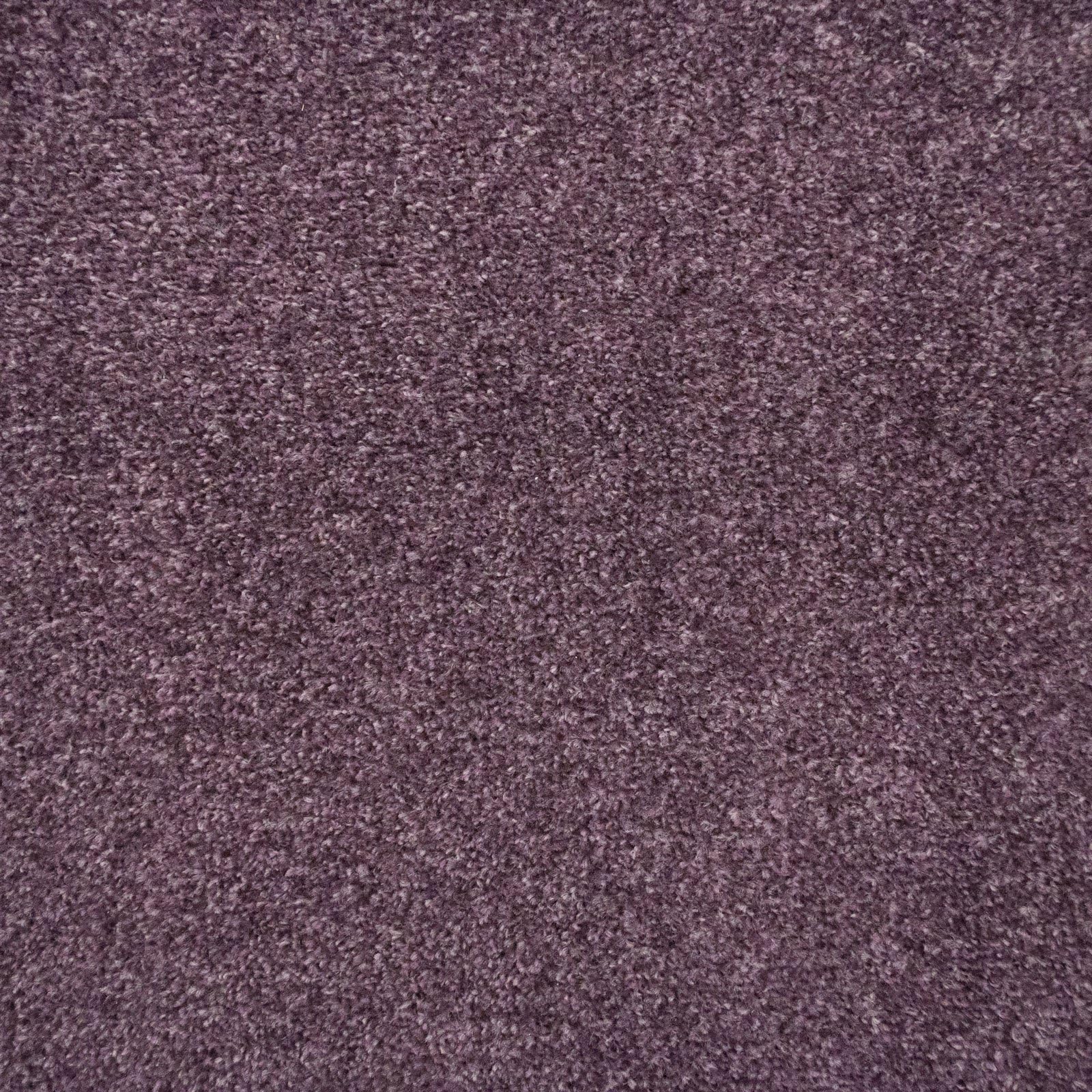 247Floors Flecked Twist Pile Carpet Roll, Hardwearing Felt Backing (5m x 4m, Purple)