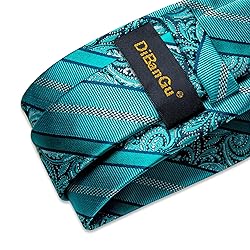 DiBanGu Silk Paisley Ties for Men Woven Necktie and
