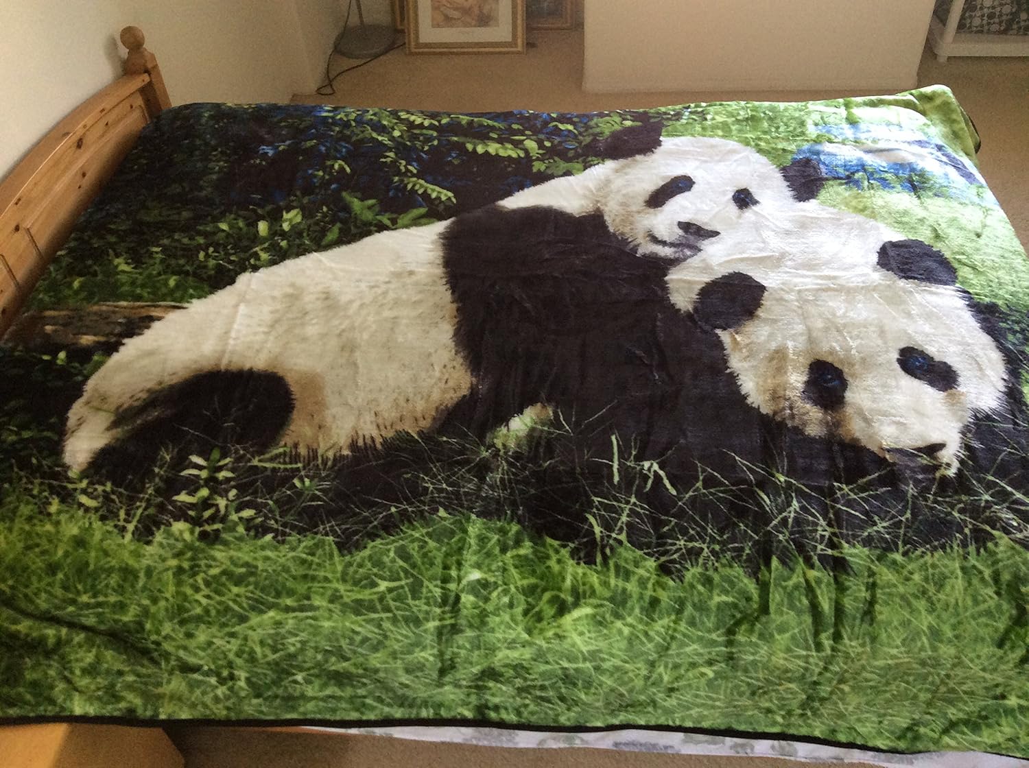 Pandas, Mink Style Queen Size Soft & Warm Blanket Home