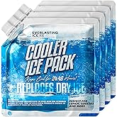 Everlasting Ice RX Reusable Ice Packs for Cooler (4 Pack) Up to 48 Hours Freezer Packs for Coolers and Lunch Boxes | 10 x 10 in | Cooler Ice Packs for Camping, Fishing, Beach, Road Trips