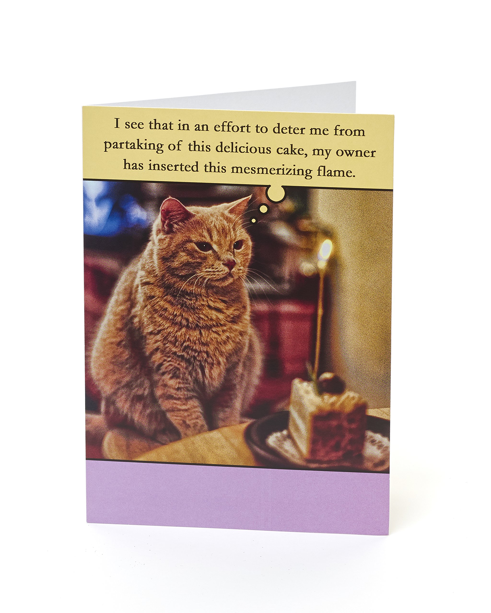 UK Greetings Funny Cat Birthday Card