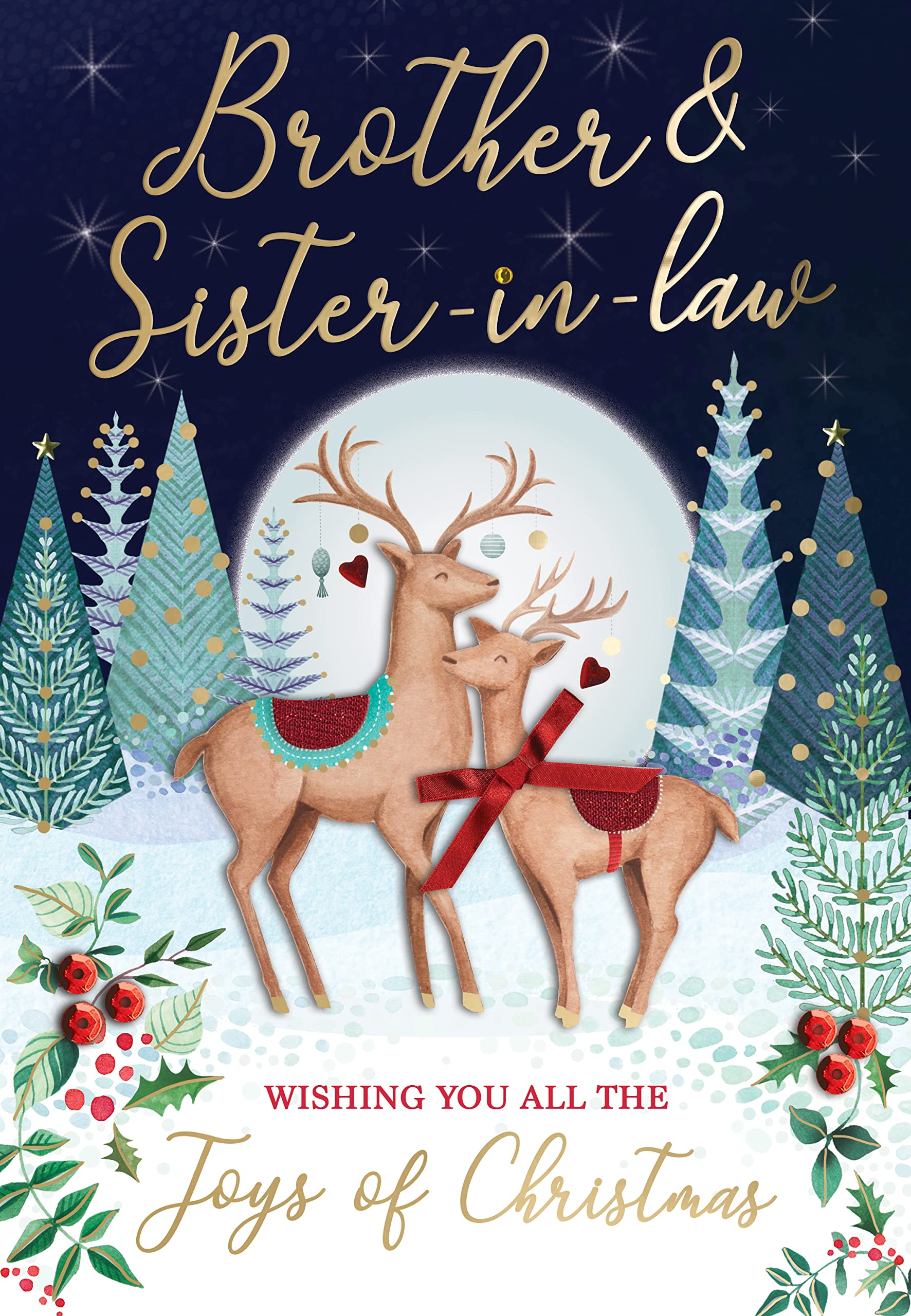 Brother & Sister-In-Law Embellished Magnifique Christmas Card Large Xmas Cards XMQ013