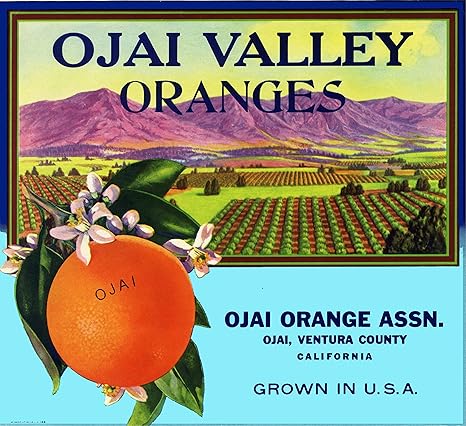 Amazon Com A Slice In Time Ojai Nordhoff Ventura County Ojai Valley Brand Oranges Orange Citrus Fruit Crate Label Art Print Travel Advertisement Poster Posters Prints