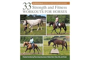 33 Strength and Fitness Workouts for Horses