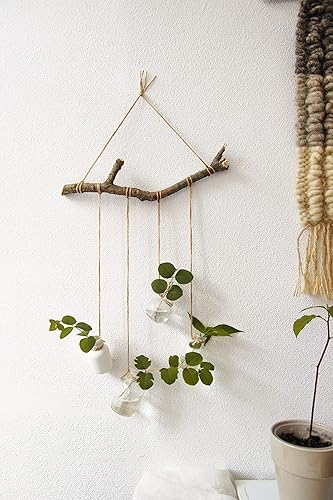Amazon Com Hanging Flower Vase Wall Shelf With Rope Decorative