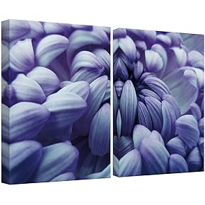 SIGNWIN Canvas Wall Art Blue-Violet Big Chrysanthemum Flower...
