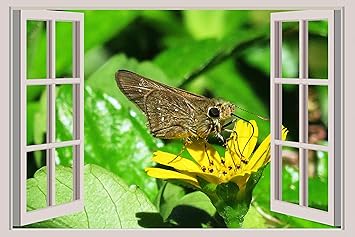 Download Buy Beibehang Bxz0022 Insect Fly Butterfly Herb Plant Hd 3d Window Wall Sticker 91cm X 60cm Online At Low Prices In India Amazon In