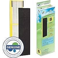 Germ Guardian FLT4825 True HEPA GENUINE Air Purifier Replacement Filter B for GermGuardian AC4300BPTCA, AC4900CA, AC4825, AC4825DLX, AC4850PT, CDAP4500BCA, CDAP4500WCA and More, 1-Pack