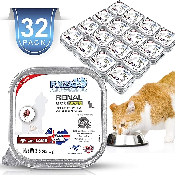 cat food for kidney issues