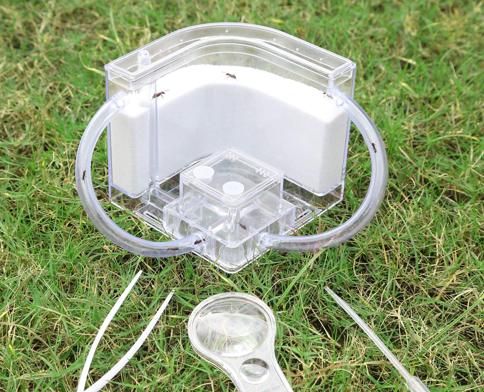 NAVAdeal Sand Ant Farm with Connecting Tubes, Habitat Educational & Learning Science Kit Toy for Kids & Adults - Allows Study of Ecosystem, Behavior of Ants, Explore The World at Home and School
