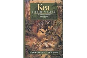 Kea, Bird of Paradox: The Evolution and Behavior of a New Zealand Parrot