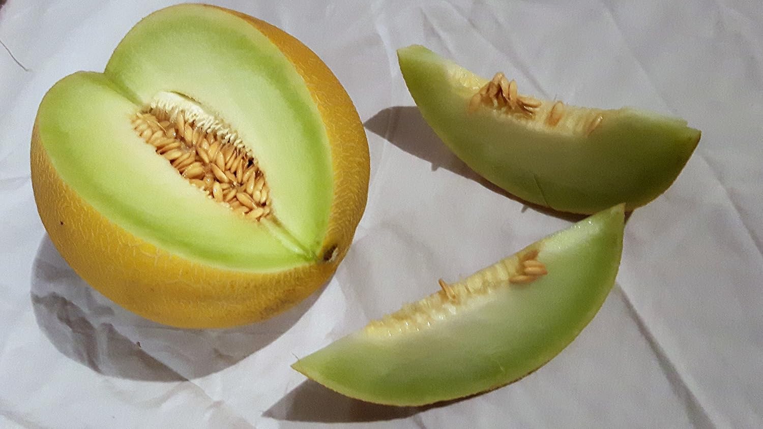 HONEDEW MELON SWEET EDIBLE FRUIT SEEDS PACKET OF FRESHLY PREPARED 20 SEEDS Amazon.co.uk Garden