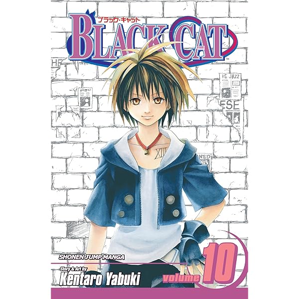 Black Cat, Vol. 9: Yabuki, Kentaro: 9781421510385: Amazon.com: Books