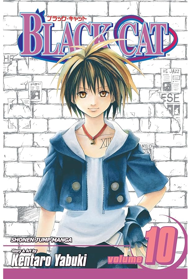 Amazon.com: Black Cat, Vol. 16: 9781421516073: Yabuki, Kentaro