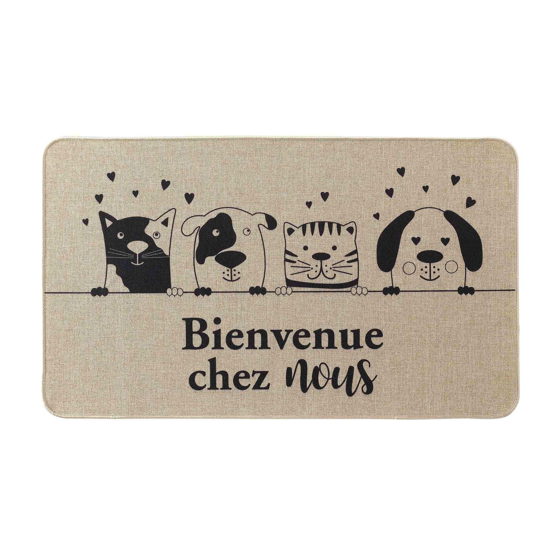 Douceur d'Intérieur Zamiis Rectangular Entrance Mat, Multi-Colour, 45 x 75 cm