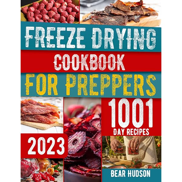 Best Freeze Dryers 2023: Top Picks for Ultimate Preservation
