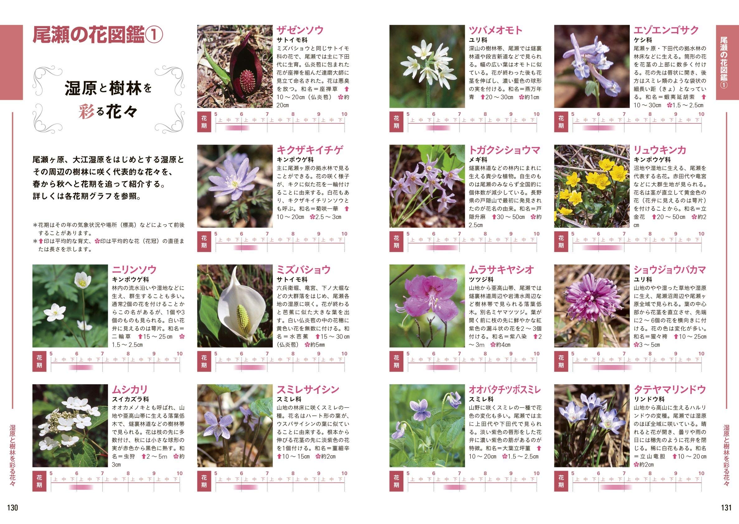 尾瀬と周辺の山をあるく 大人の遠足book 本 通販 Amazon