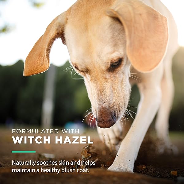 WET ONES FOR PETS EXTRA GENTLE HYPOALLERGENIC DOG WIPES WITH WITCH HAZEL FOR SNOUT, EYE, EAR | FRAGRANCE-FREE FOR ALL DOGS WITH WET LOCK SEAL | 30 CT POUCH