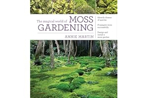 The Magical World of Moss Gardening
